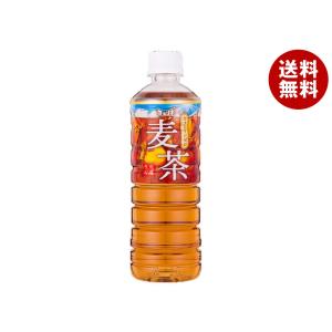 チェリオ 麦茶 500mlペットボトル×24本入×(2ケース)｜ 送料無料｜misonoya