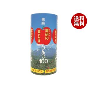 青研 葉とらずりんごジュース 葉とらずりんご100 195mlカートカン×30本入×(2ケース)｜ 送料無料｜misonoya