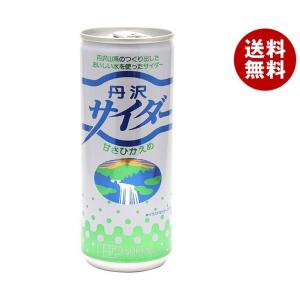 創健社 丹沢サイダー 250ml缶×30本入×(2ケース)｜ 送料無料 炭酸飲料 サイダー 缶｜MISONOYA ヤフー店