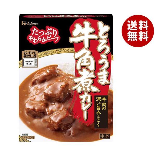 ハウス食品 とろうま牛角煮カレー 200g×30個入×(2ケース)｜ 送料無料 一般食品 レトルト食...