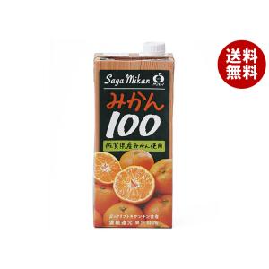 ジューシー フルーツジュース オレンジ100 1000ml 6本 (1ケース) 紙