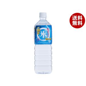 岩泉 龍泉洞の水 500ml ペットボトル 24本入 ウォーター 天然水 中硬水