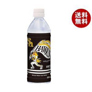 日田天領水 ホークスマーク入り 日田天領水 500mlペットボトル×24本入×(2ケース)｜ 送料無料｜misonoya