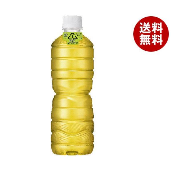 アサヒ飲料 緑茶 ラベルレスボトル 630mlペットボトル×24本入×(2ケース)｜ 送料無料