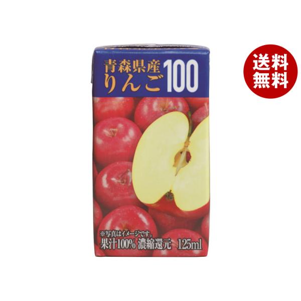 共進牧場 青森県産りんご100 125ml紙パック×24本入×(2ケース)｜ 送料無料