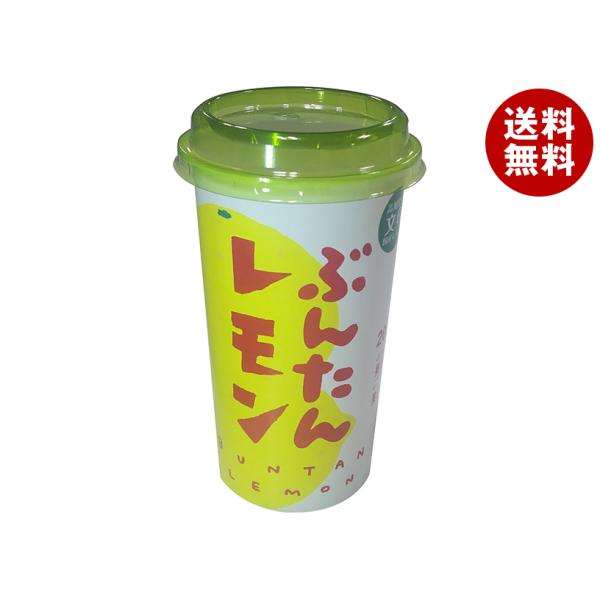 [爆買 母の日] 高知アイス ぶんたんレモン 200ml×12本入｜ 送料無料
