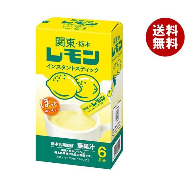 ドトールコーヒー 関東・栃木レモン (15g×6P)×36袋入｜ 送料無料