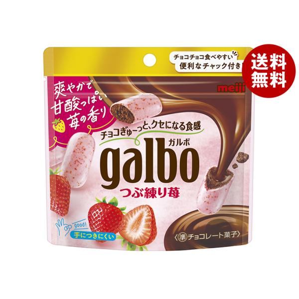 明治 ガルボ つぶ練り苺 58gパウチ×8袋入×(2ケース)｜ 送料無料