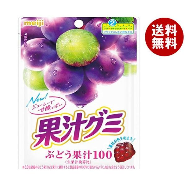 明治 果汁グミ ぶどう 54g×10袋入｜ 送料無料