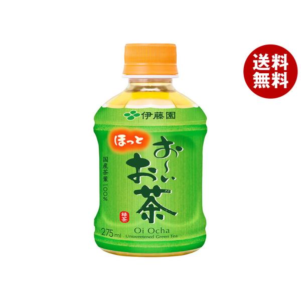 伊藤園 【HOT用】お〜いお茶 緑茶 275mlペットボトル×24本入×(2ケース)｜ 送料無料