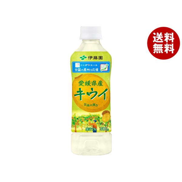 伊藤園 ニッポンエール 愛媛県産キウイ 500mlペットボトル×24本入｜ 送料無料