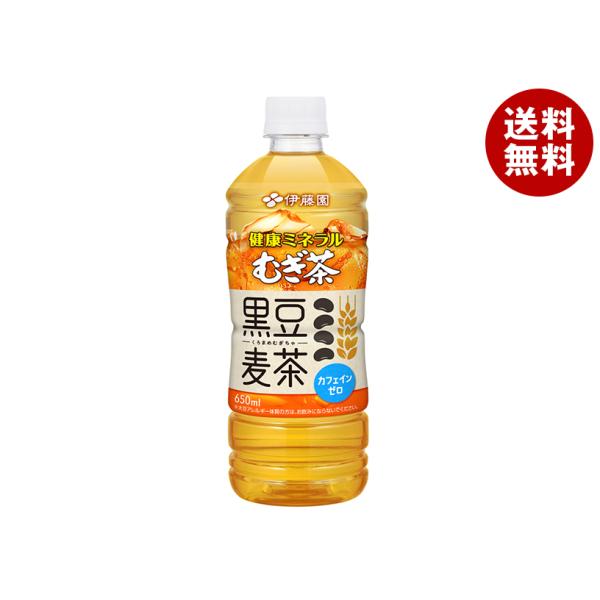 伊藤園 健康ミネラルむぎ茶 黒豆麦茶 650mlペットボトル×24本入×(2ケース)｜ 送料無料