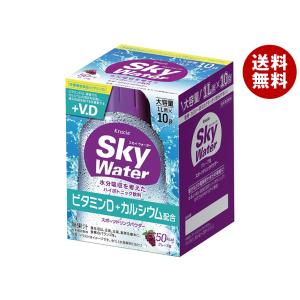 スカイウォーター クラシエフーズ グレープ味 1L用 (29gx5袋)×1箱入