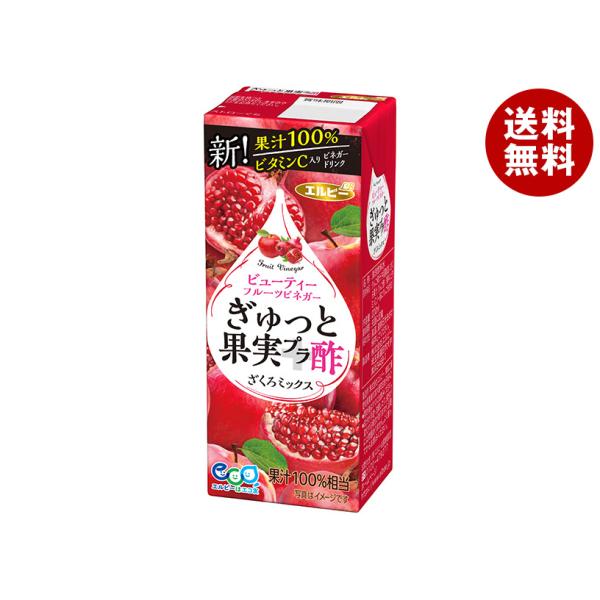 エルビー ぎゅっと果実プラ酢 ざくろミックス 200ml紙パック×24本入×(2ケース)｜ 送料無料