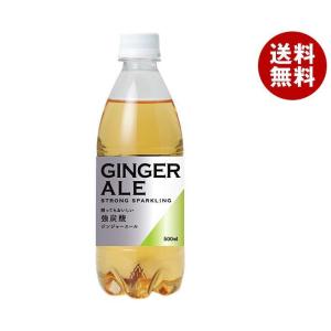 友桝飲料 ジンジャーエール 500mlペットボトル×24本入×(2ケース)｜ 送料無料 炭酸 強炭酸 ジンジャー ショウガ しょうが 割り材｜misonoya