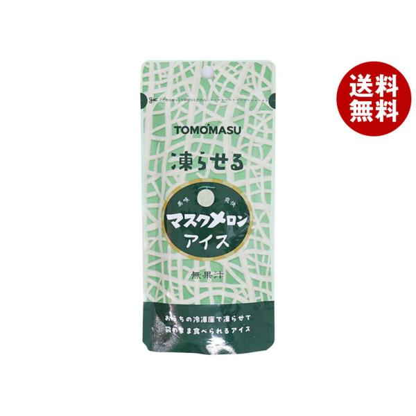 友桝飲料 マスクメロンアイス 80gパウチ×36(12×3)本入｜ 送料無料
