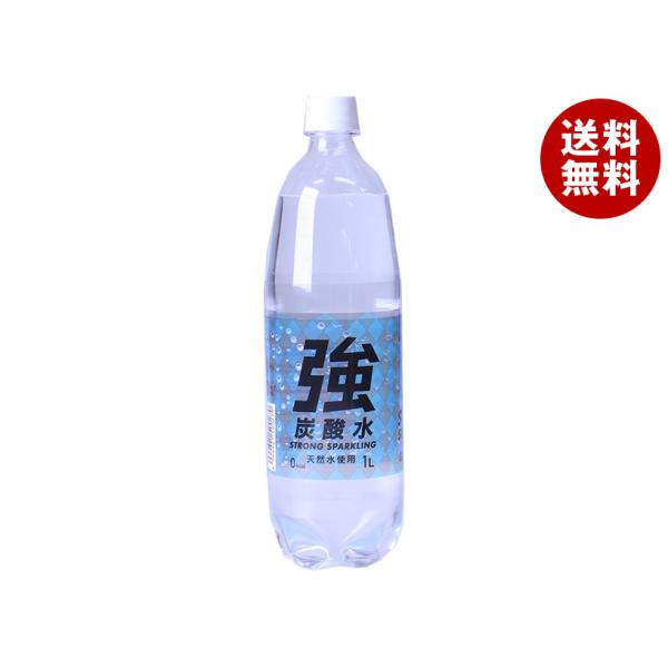 友桝飲料 強炭酸水(K) 1Lペットボトル×15本入×(2ケース)｜ 送料無料 炭酸飲料 炭酸水 ソ...