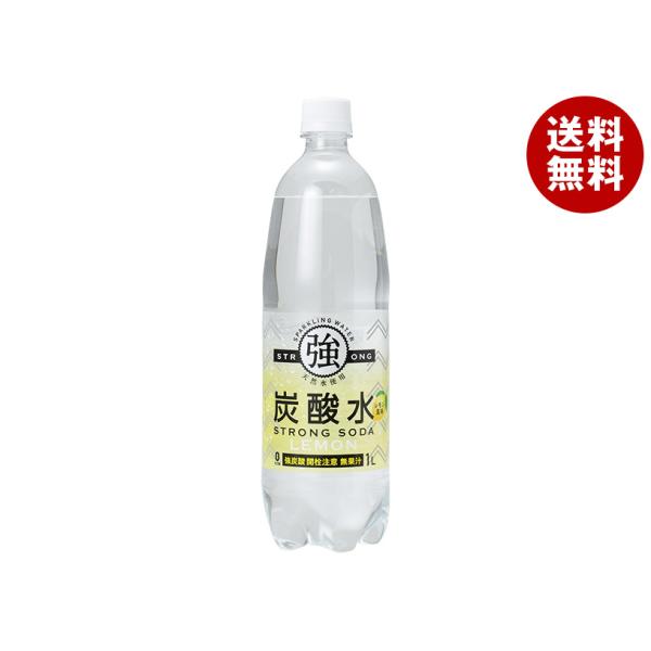 友桝飲料 強炭酸水レモン 1Lペットボトル×15本入×(2ケース)｜ 送料無料