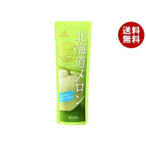 ゴールドパック 北海道 メロン 80gパウチ×20本入｜ 送料無料