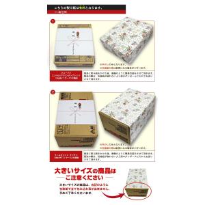 熨斗(のし)・包装有料チケット| 送料無料 熨...の詳細画像4