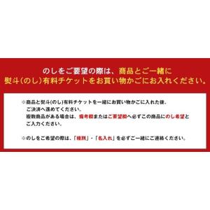 熨斗(のし)・包装有料チケット| 送料無料 熨...の詳細画像5