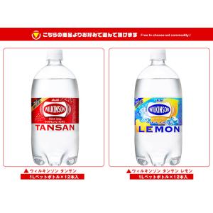 アサヒ飲料 ウィルキンソン タンサンシリーズ ...の詳細画像1