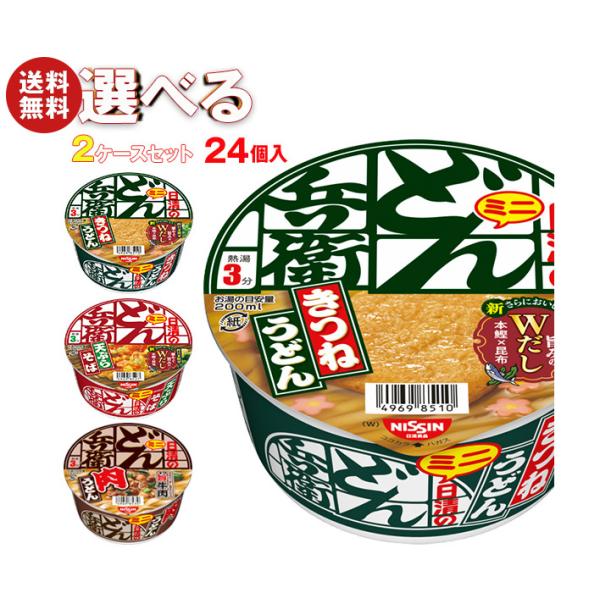 日清食品 日清のどん兵衛ミニ 選べる2ケースセット ×24(12×2)個入｜ 送料無料
