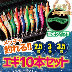 エギ 10本セット 餌木 2.5号 3号 3.5号 イカ釣り ルアー ケース付 夜光針 釣り 釣具 初心者 タコ釣り