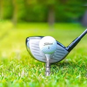 ゴルフ ティー golf ロングティー 83m...の詳細画像1