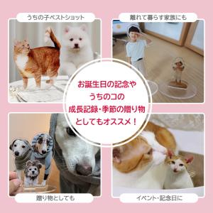 アクリルスタンド お好きなお写真で作れるオリジ...の詳細画像1