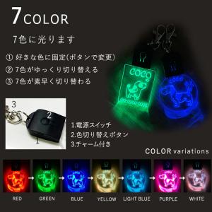 オリジナル アクリル光る迷子札36種類 USB...の詳細画像2