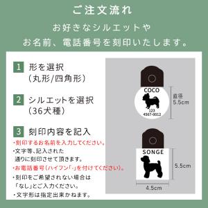オリジナル アクリル光る迷子札36種類 USB...の詳細画像5