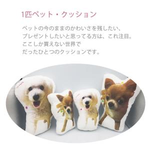 ペット 1匹ペットクッションオーダーメイド オ...の詳細画像5