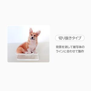 アクリルスタンド お好きなお写真で作れるオリジ...の詳細画像5