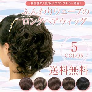 ウィッグ ポイントウィッグ ヘアピース つけ毛 バレッタ ロング  和装 着物 結婚式 パーティー 簡単 卒業式 入学式 フォーマル 結婚式 優良配送