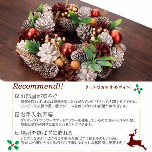 リース クリスマス Mサイズ クリスマスリース...の詳細画像1