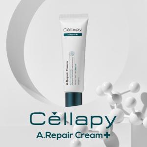 Cellapy セラペア 集中保湿クリーム 50g 韓国コスメ｜missha