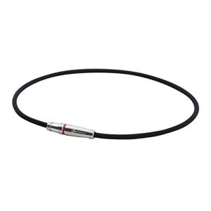ファイテン(phiten) ネックレス RAKUWA ネックX100 リーシュモデル