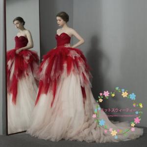 カラードレス 演奏会用ドレス ロングドレス 結婚...の商品画像