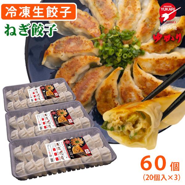 お好み焼ゆかり　大阪ねぎ餃子　60個（20個入×3）　冷凍　送料無料
