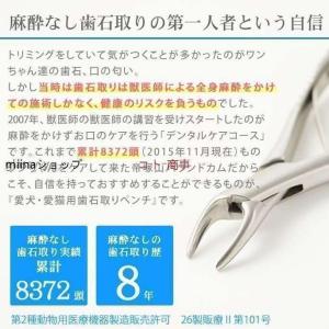 愛犬・愛猫用 歯石取り ペンチ 犬 歯石 デン...の詳細画像1