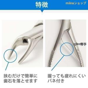 愛犬・愛猫用 歯石取り ペンチ 犬 歯石 デン...の詳細画像2