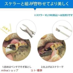 愛犬・愛猫用 歯石取り ペンチ 犬 歯石 デン...の詳細画像3