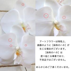新盆 お供え フラワーアレンジメント 胡蝶蘭 ...の詳細画像5