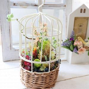鳥かご インテリア 造花 アートフラワー の商品一覧 花 ガーデニング 通販 Yahoo ショッピング