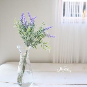 ラベンダーシルバーリーフ 花 ガーデニング の商品一覧 通販 Yahoo ショッピング