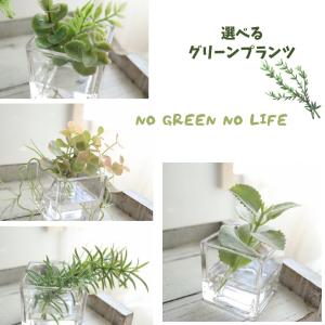 マジカルウォーター フェイクグリーン 光触媒 おしゃれ 人気 お手入れ