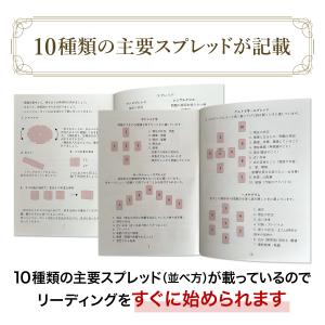 ライダータロット ミニチュアサイズ Gammi...の詳細画像2