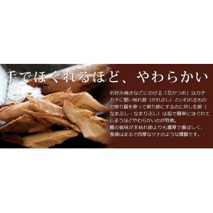 【常温】国産 鰹(かつお) 使用 生節 魚(い...の詳細画像4