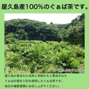 屋久島産ぐぁば茶 60g(グァバ茶100%) ...の詳細画像1